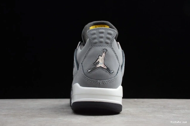 Cool Retro 308497-007 Grey Jordan (2019) Air 4 0521